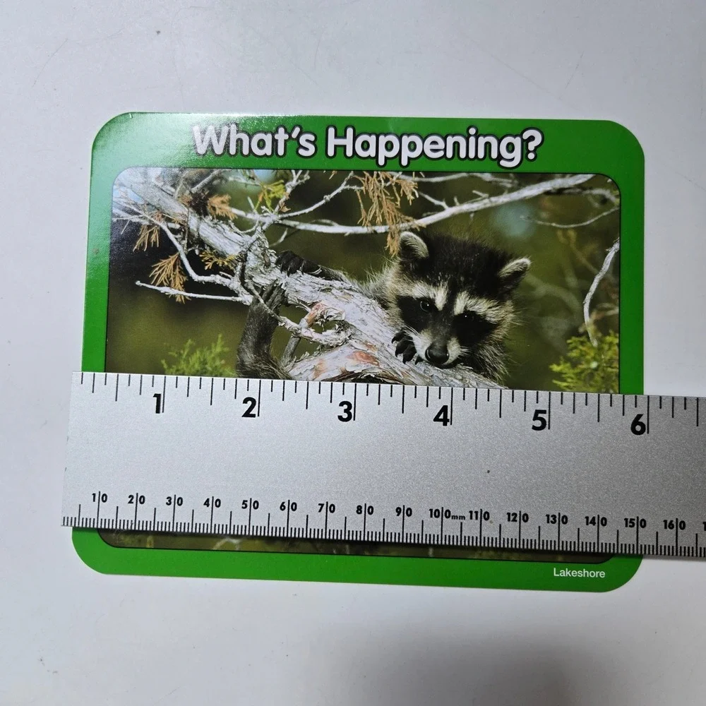 Lakeshore What's Happening? Photo Cards Kids Educational Discussion Prompts Tin